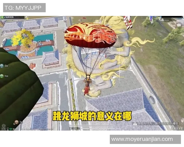 王秀英专访揭秘和平精英成功背后的策略与创新之路